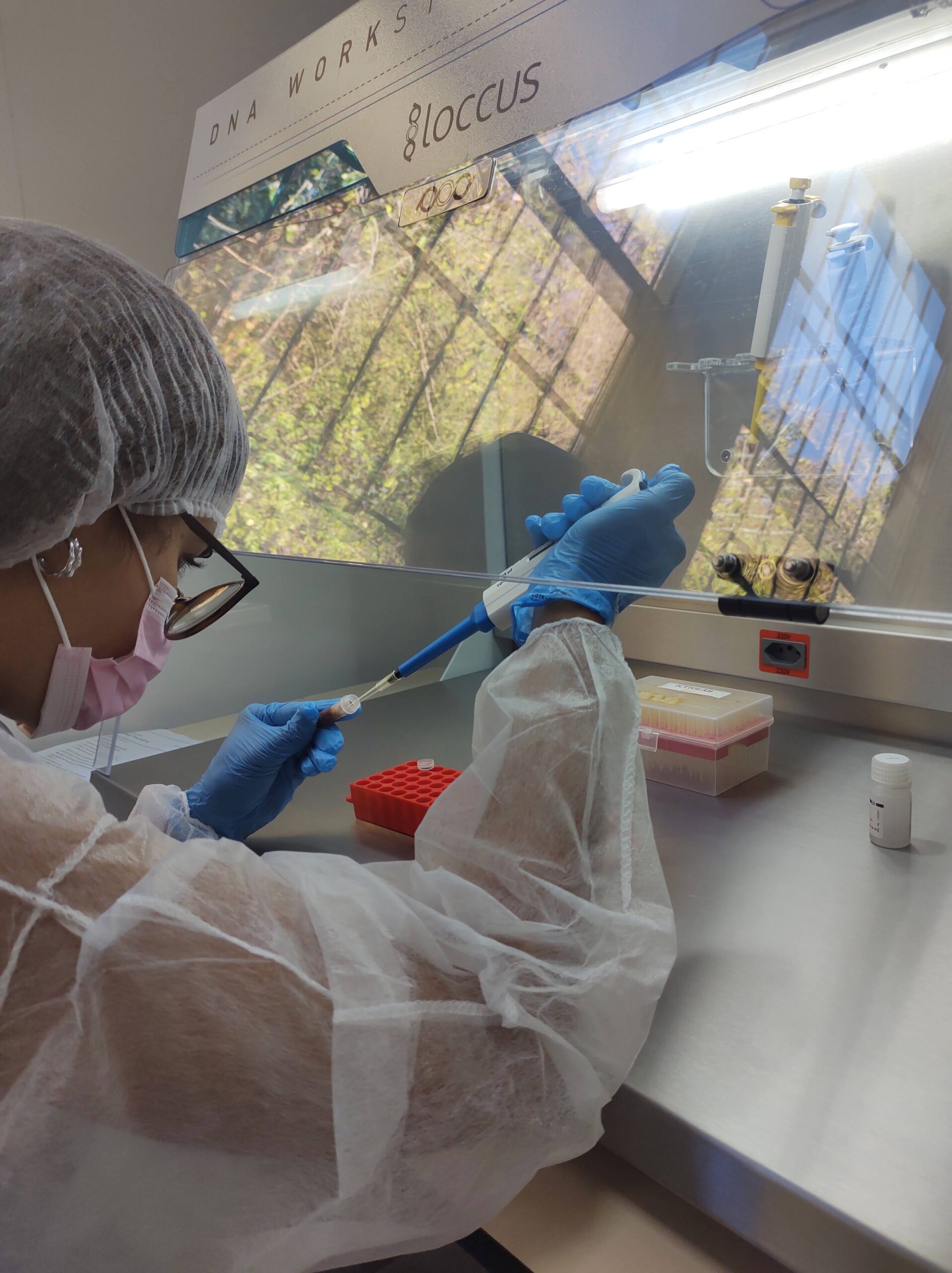 DNAbarcoding