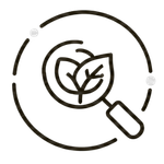 aplica (1)